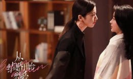 女总裁的电视剧